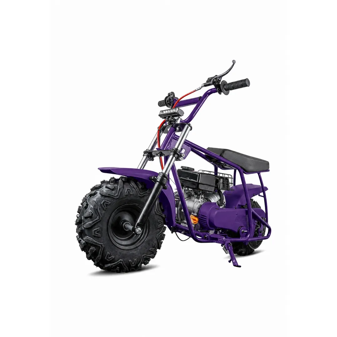 FRP GMB100P 99cc Gas Mini Bike with Front Suspension (GMB100P) Purple