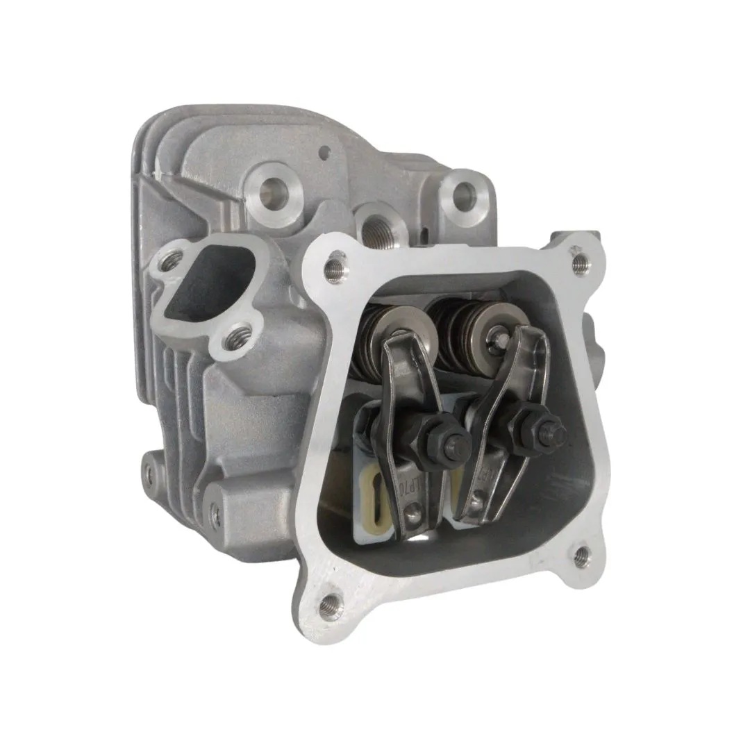 Complete Head Assy T225RS-02 (138220098)