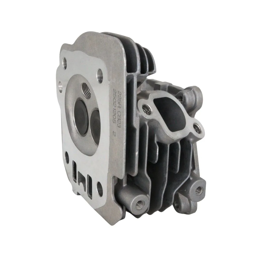 Complete Head Assy T225RS-02 (138220098)