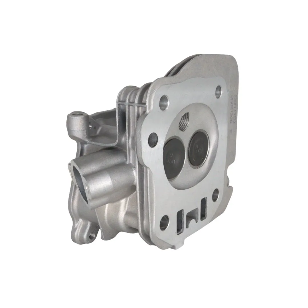 Complete Head Assy T225RS-02 (138220098)