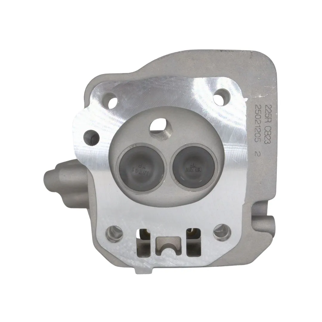 Complete Head Assy T225RS-02 (138220098)