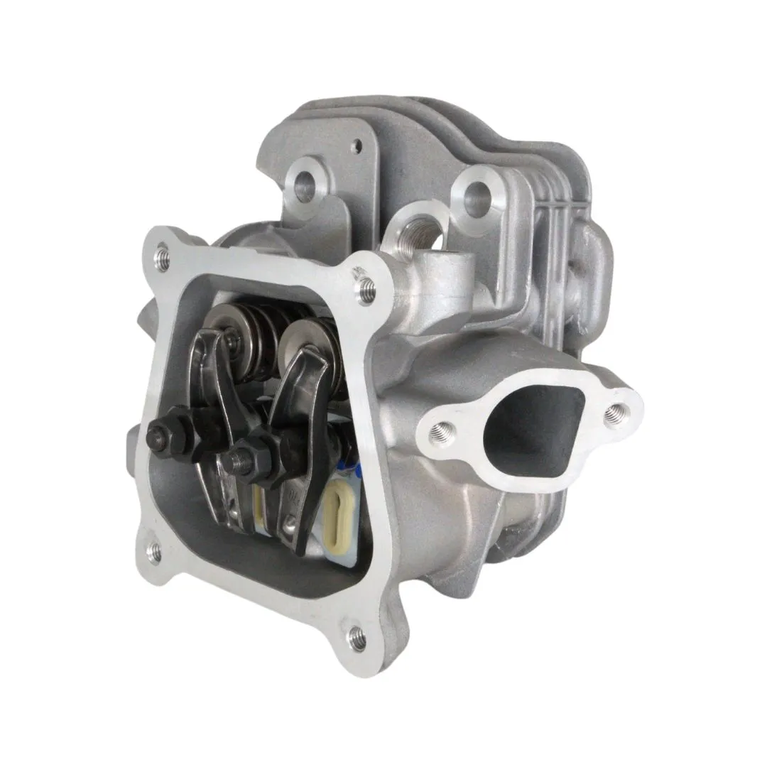Complete Head Assy T225RS-02 (138220098)
